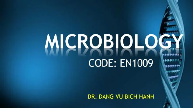 Others Morphology of Bacteria