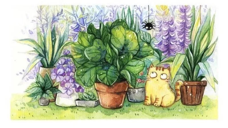 Bạn có sở hữu tầm nhìn sắc bén, sâu xa?