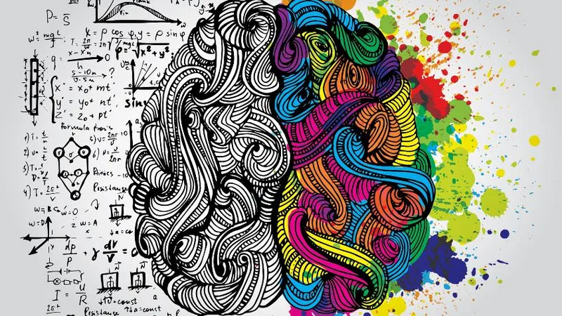 Bạn giỏi tư duy bằng não trái hay não phải?