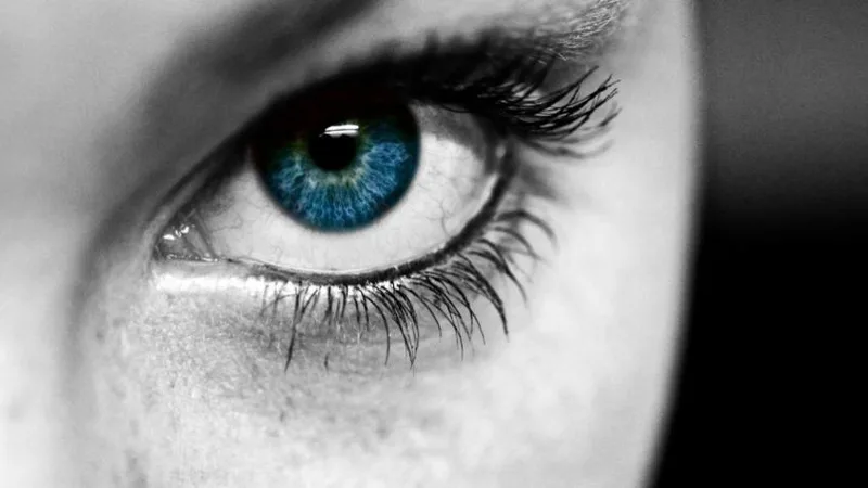Kiểm tra EYE - Q của bạn!