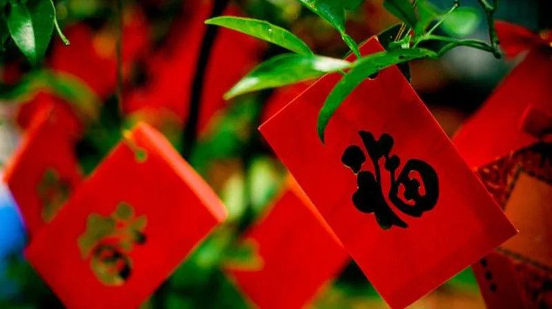 Nhạc xuân - Bạn biết nhiều hay ít?