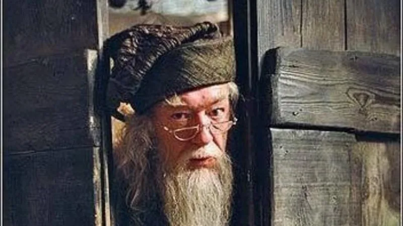 Bạn có nhận ra những nhân vật này trong Harry Potter?