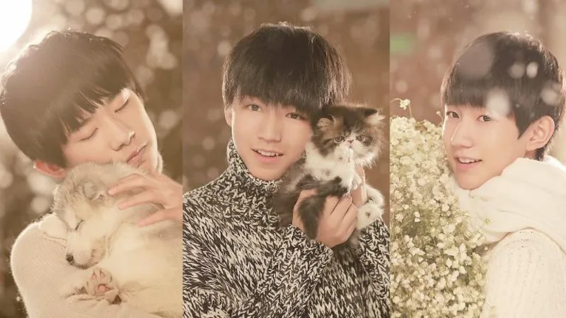Bạn biết TFboys đến độ nào?