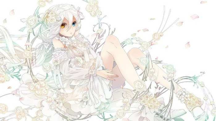 Bạn biết bao nhiêu nhân vật trong anime ?