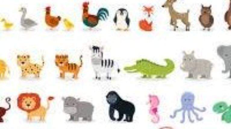 10 câu hỏi về con vật